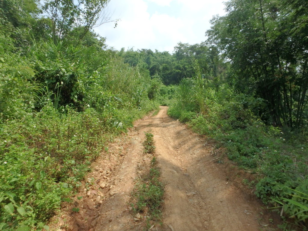 PA021368.JPG PA021368.JPG