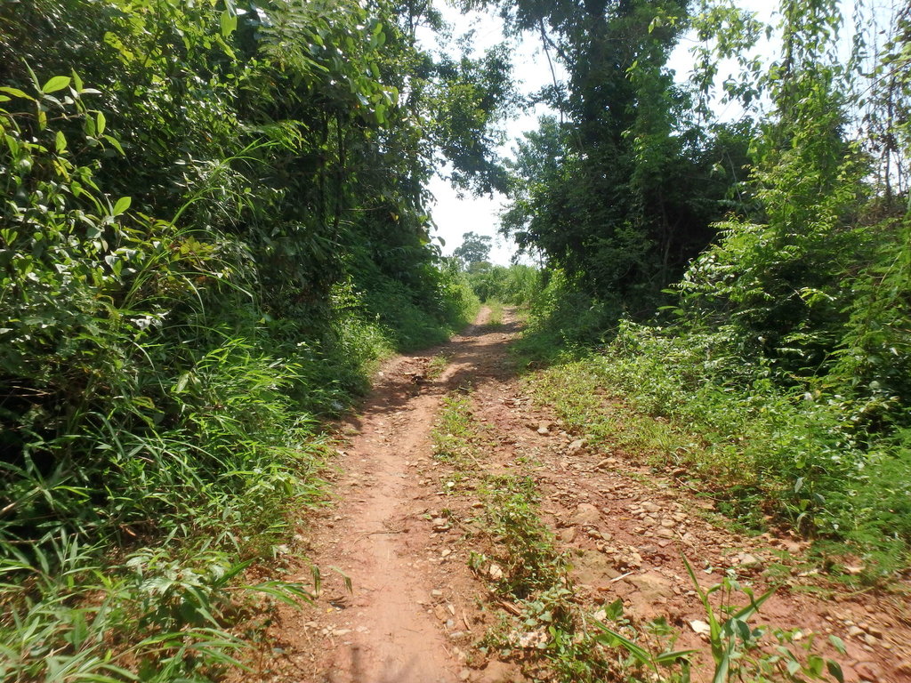 PA021369.JPG PA021369.JPG