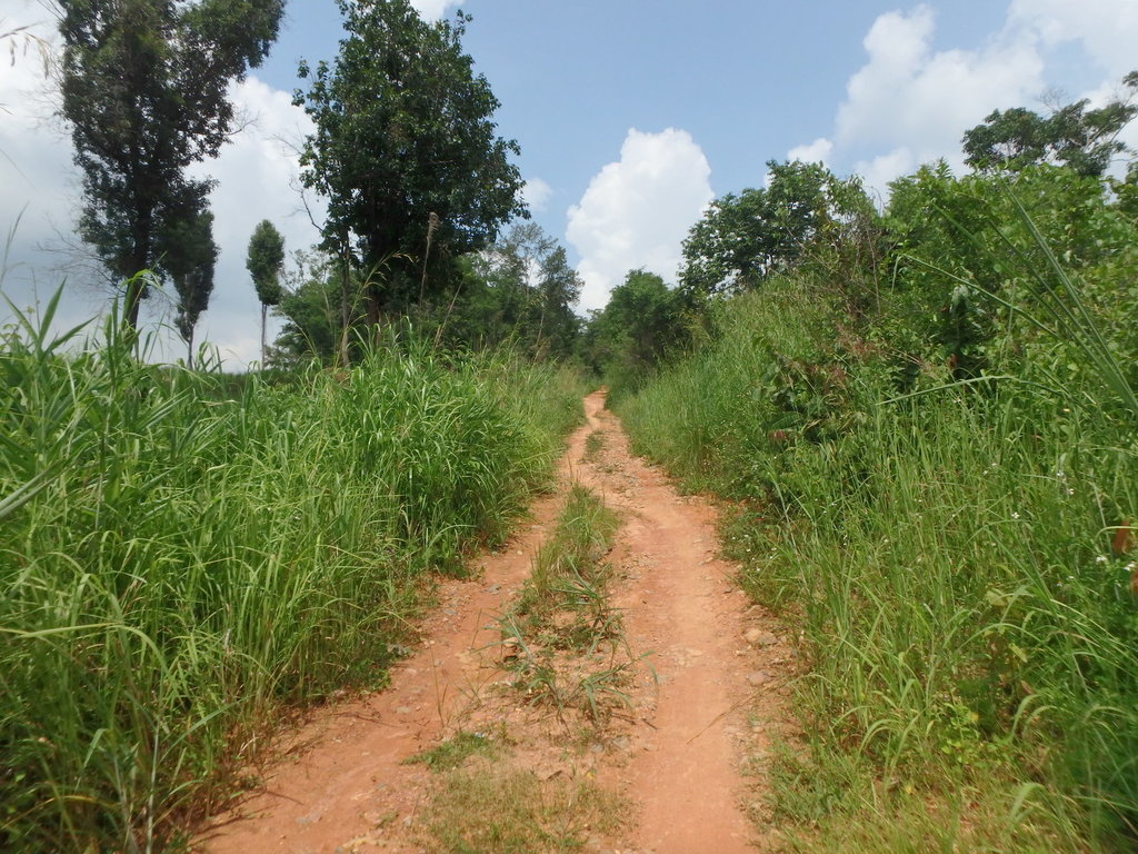 PA021370.JPG PA021370.JPG