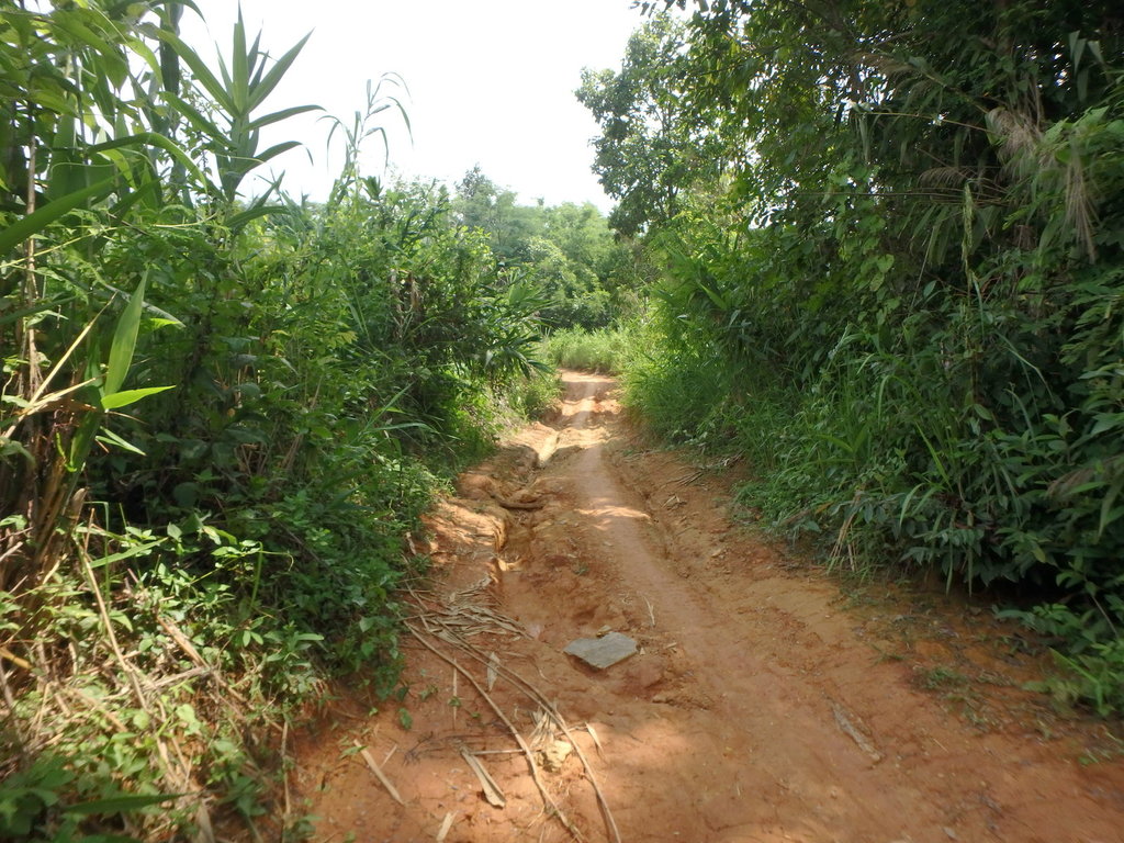 PA021377.JPG PA021377.JPG