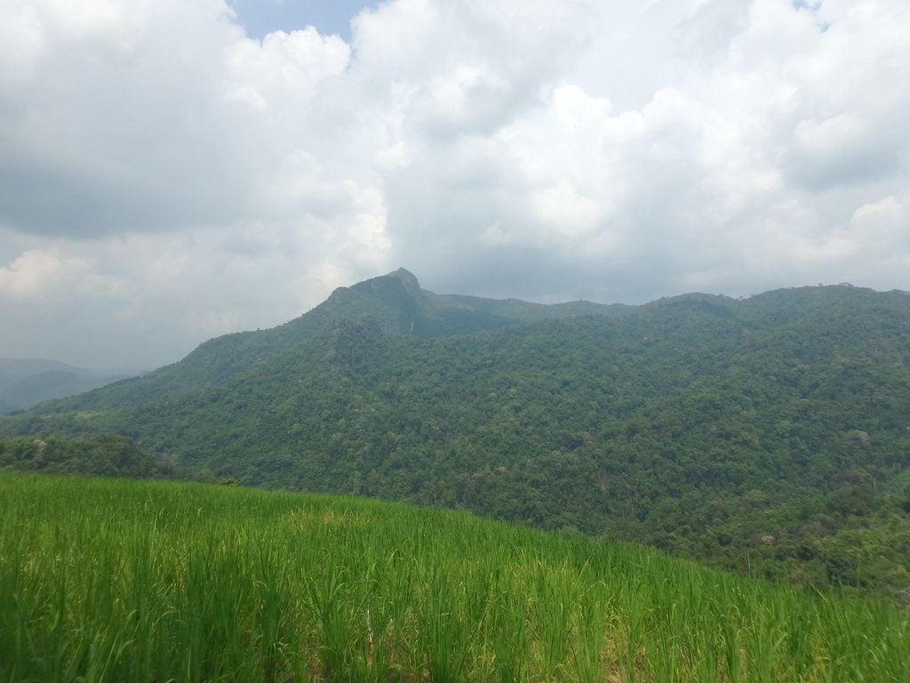 PA021382.JPG PA021382.JPG