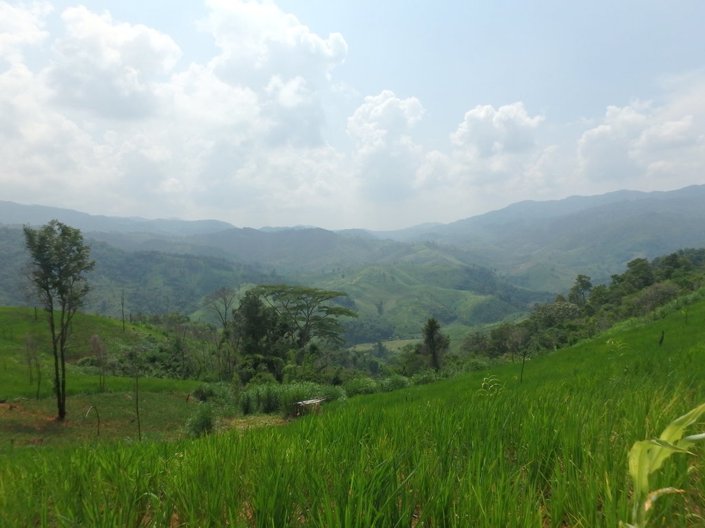 PA021385.JPG PA021385.JPG