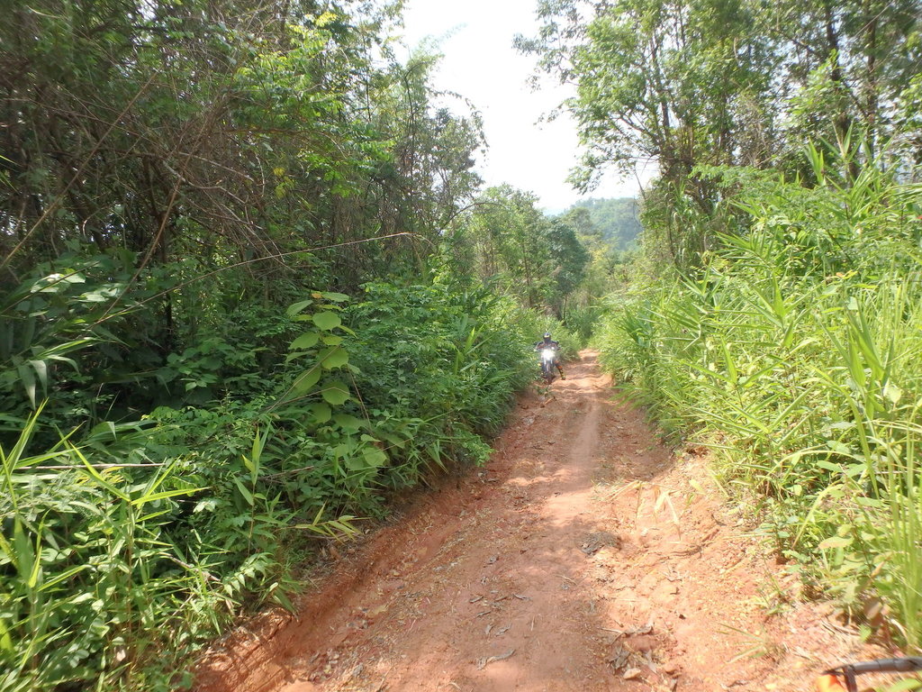 PA021387.JPG PA021387.JPG