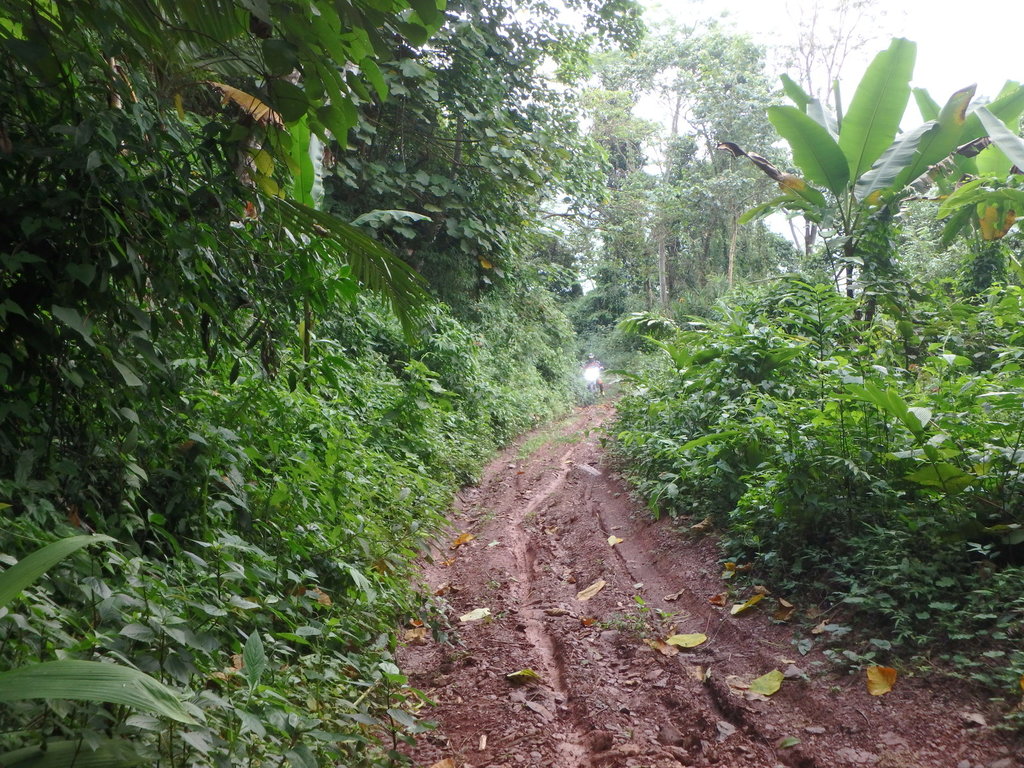 PA021391.JPG PA021391.JPG