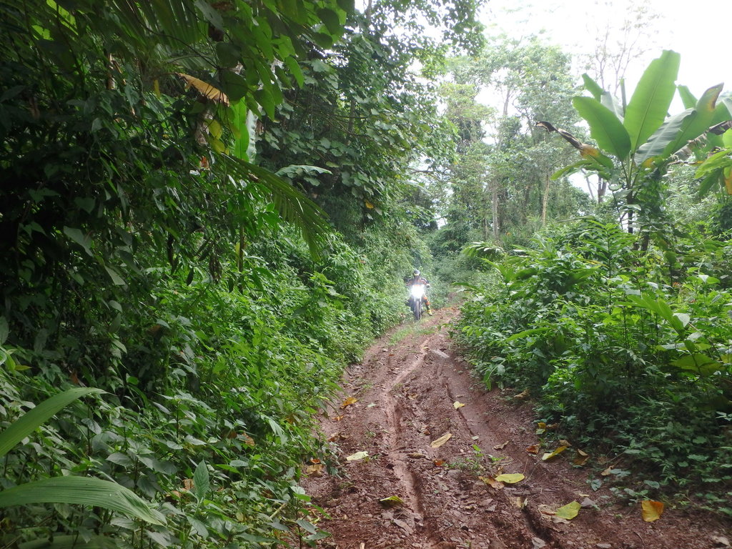 PA021392.JPG PA021392.JPG