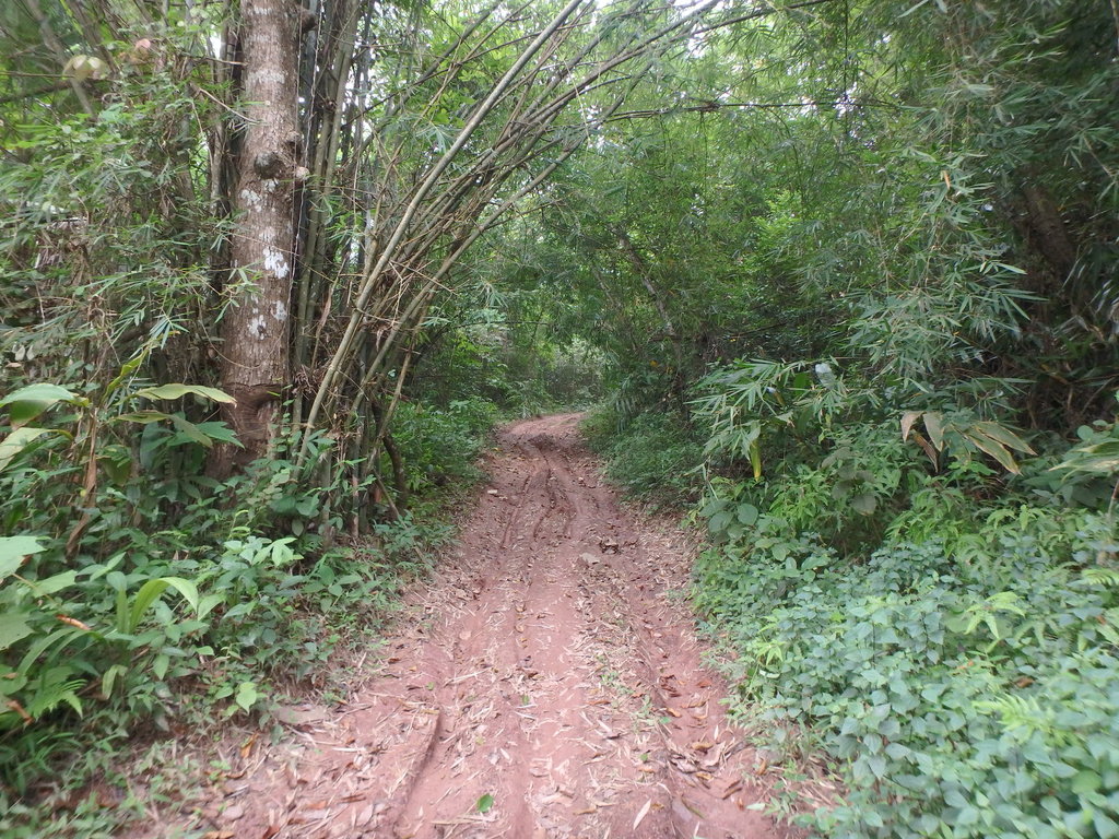 PA021393.JPG PA021393.JPG