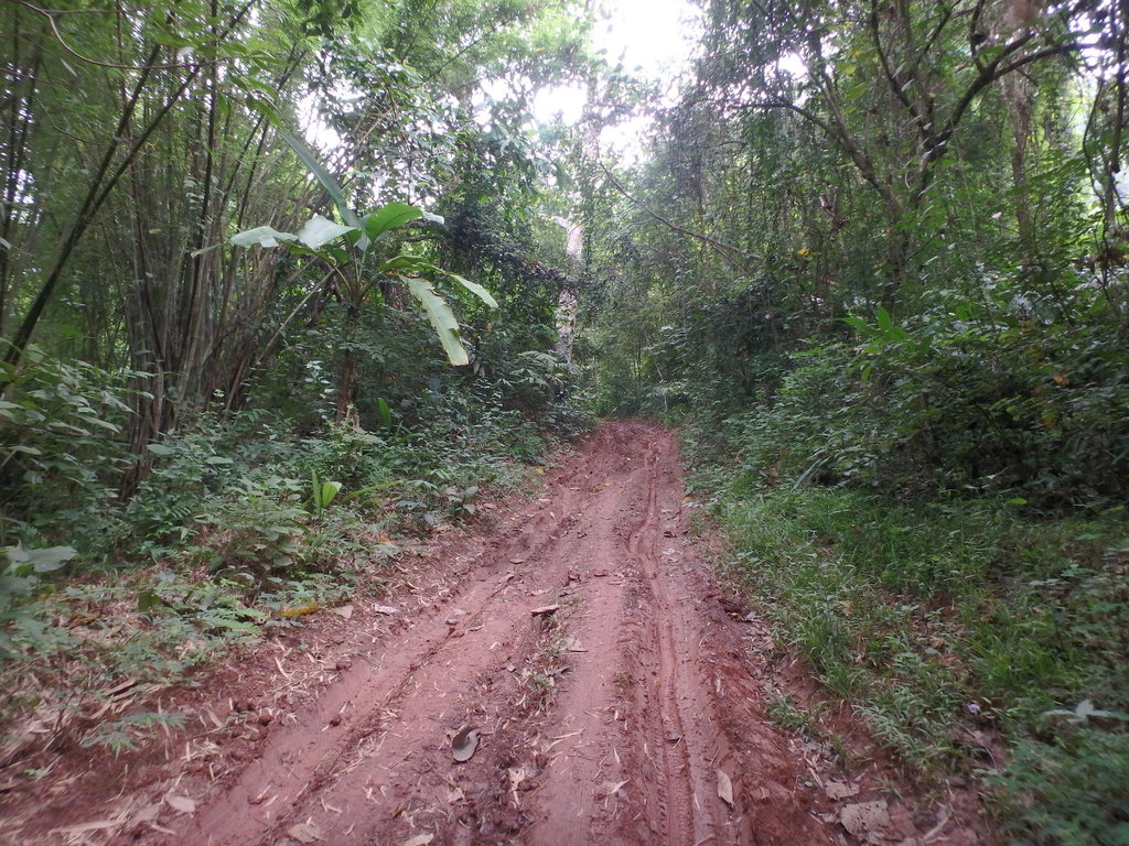 PA021394.JPG PA021394.JPG