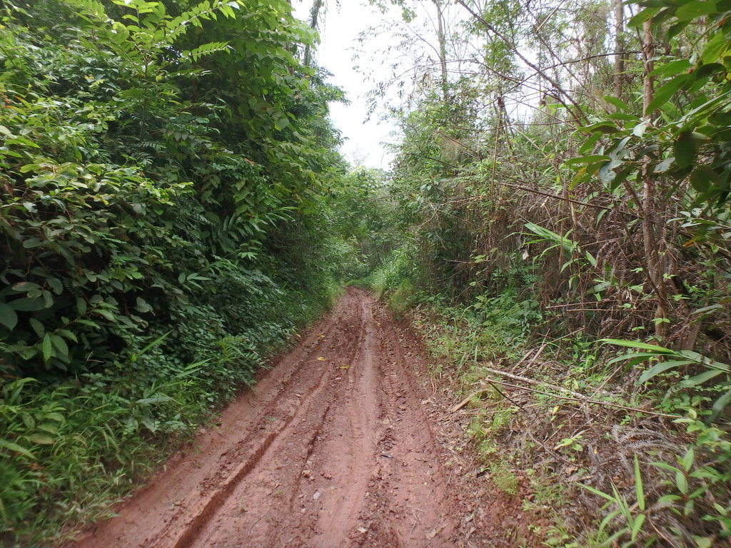 PA021395.JPG PA021395.JPG