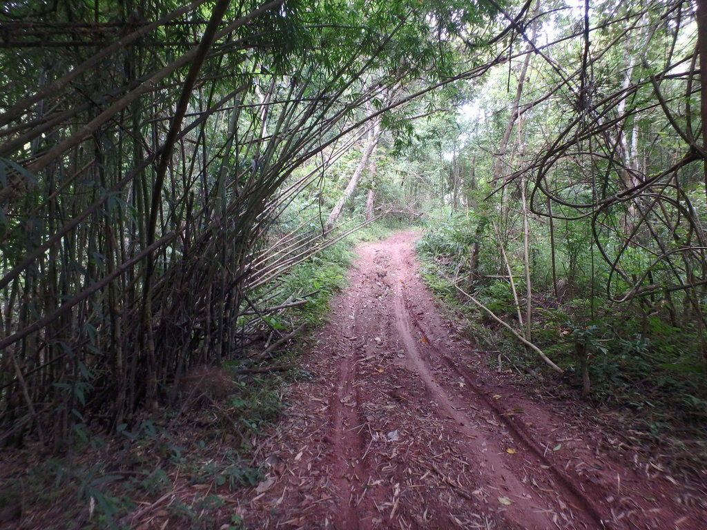 PA021397.JPG PA021397.JPG
