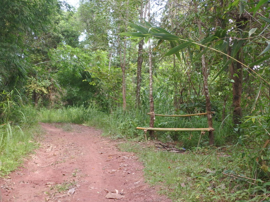 PA021398.JPG PA021398.JPG