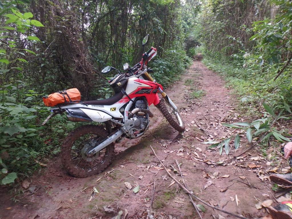 PA021399.JPG PA021399.JPG
