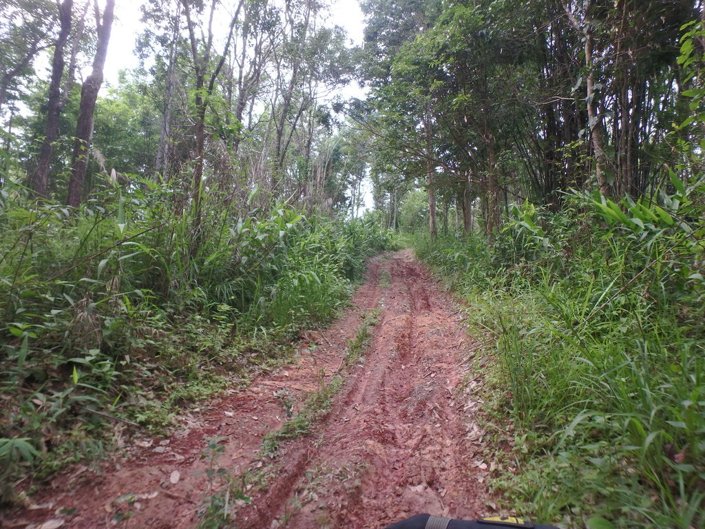 PA021400.JPG PA021400.JPG