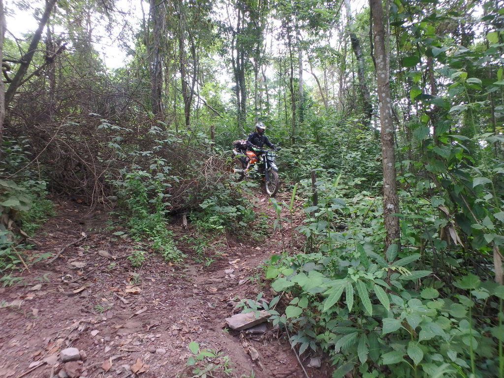 PA021404.JPG PA021404.JPG