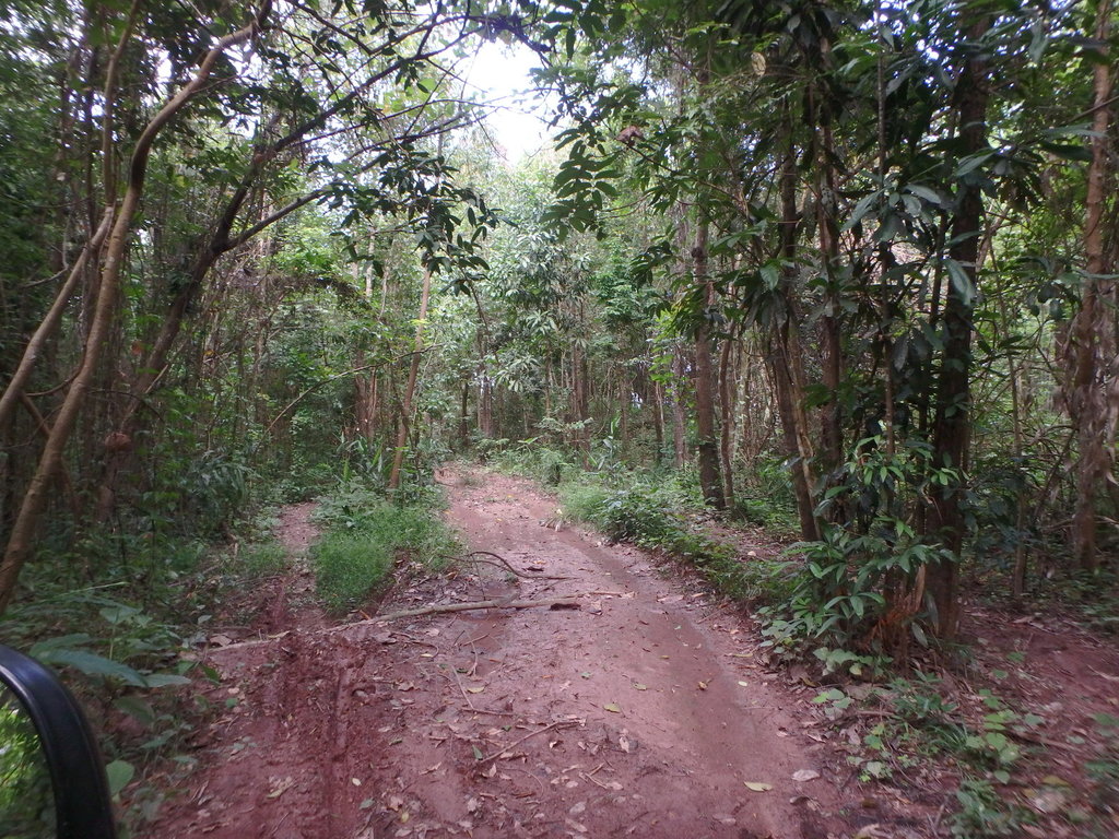 PA021406.JPG PA021406.JPG