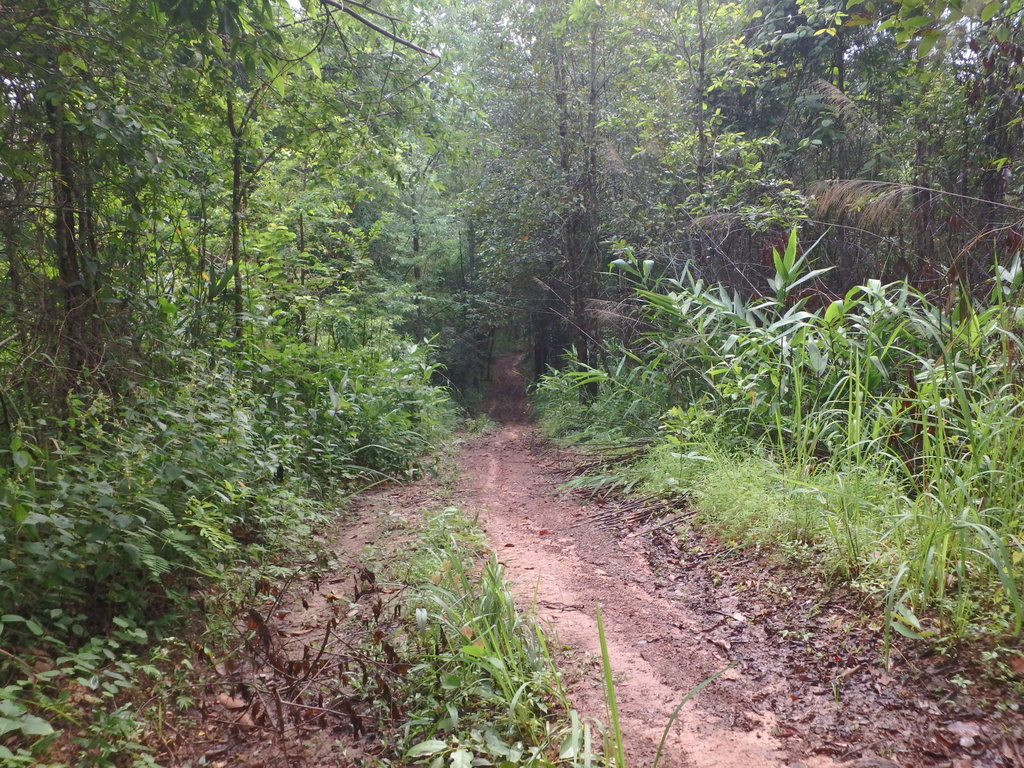 PA021410.JPG PA021410.JPG