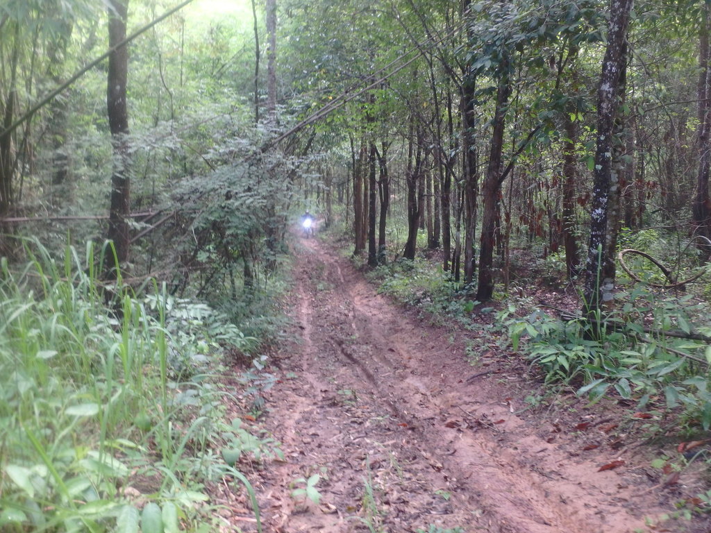 PA021411.JPG PA021411.JPG