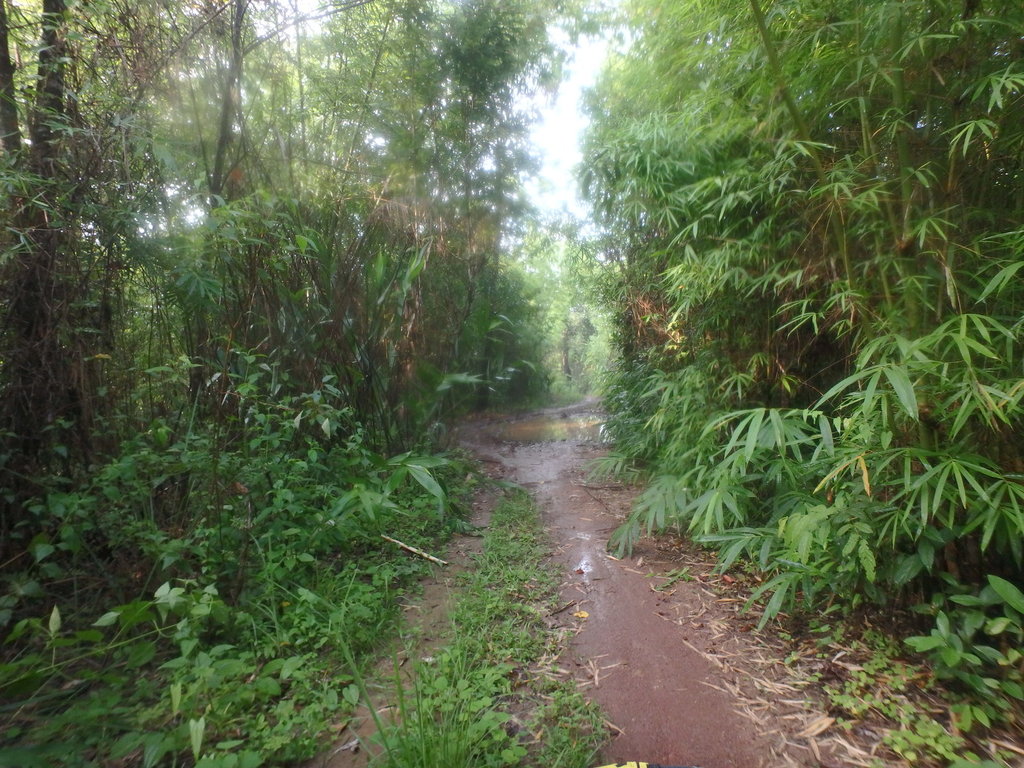 PA021414.JPG PA021414.JPG