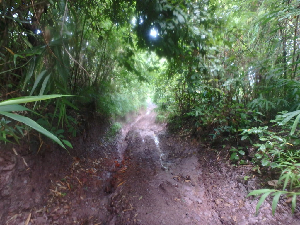 PA021416.JPG PA021416.JPG