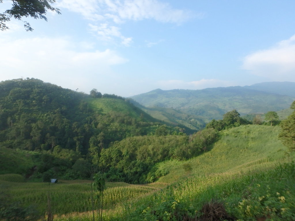 PA021417.JPG PA021417.JPG