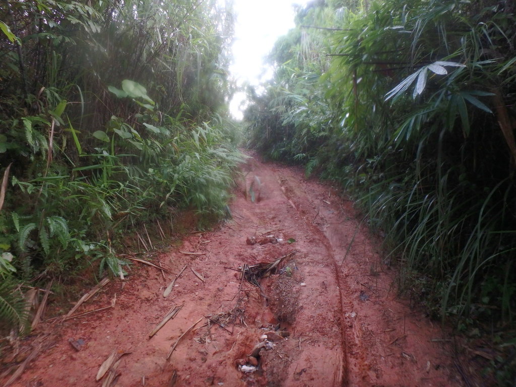 PA021418.JPG PA021418.JPG