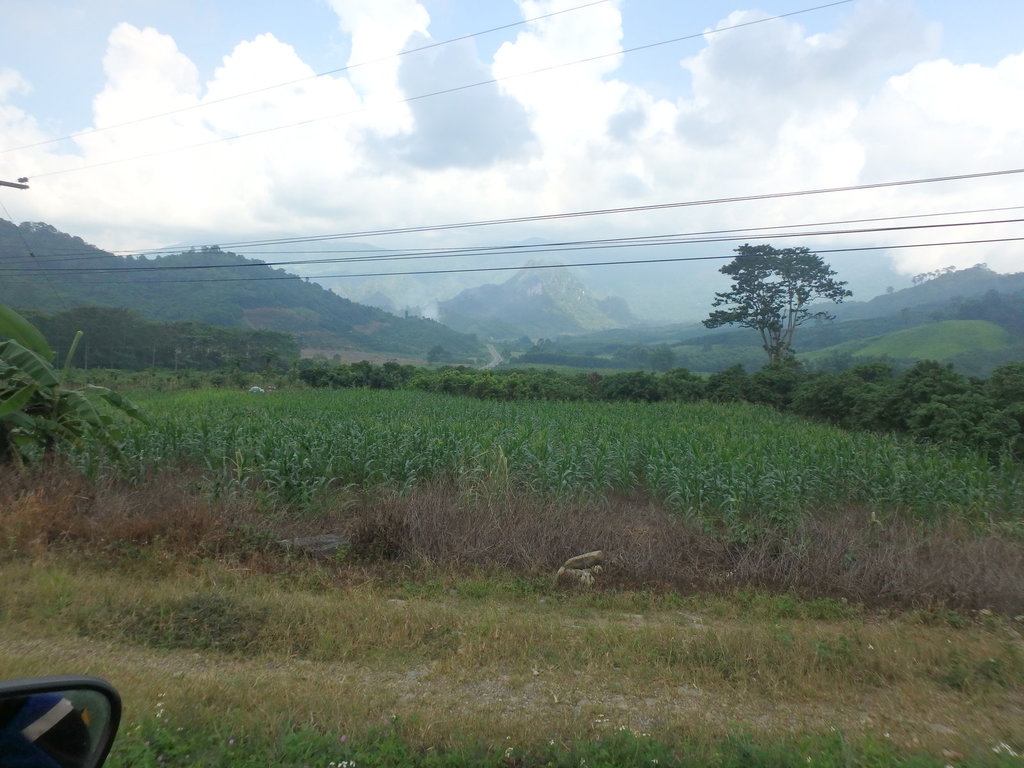 PA031438.JPG PA031438.JPG
