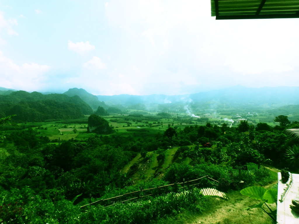 PA031445.JPG PA031445.JPG