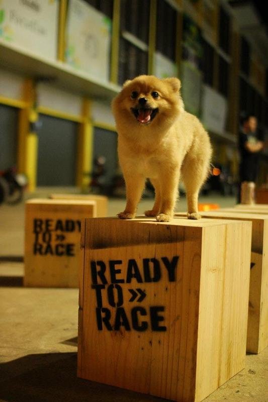 309049_4023521618773_1661696209_n.jpg 309049_4023521618773_1661696209_n.jpg