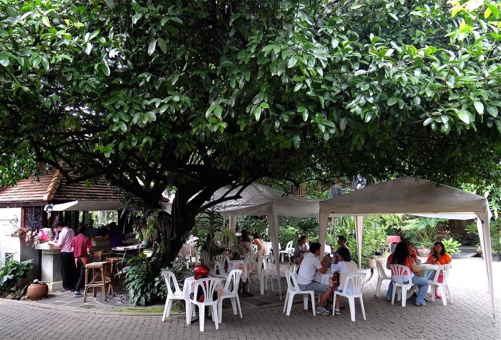 DSC03442.jpg DSC03442.jpg