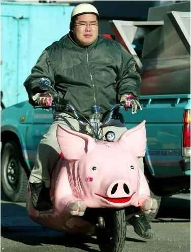pig bike.jpg