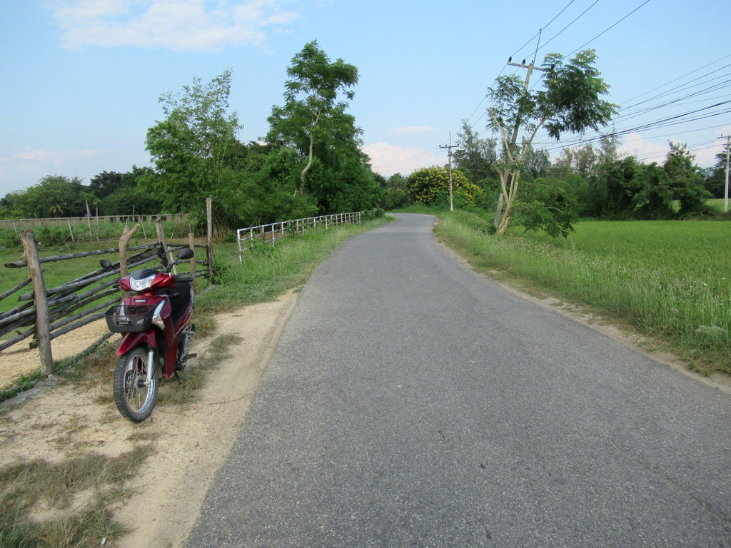 IMG_6973.JPG IMG_6973.JPG