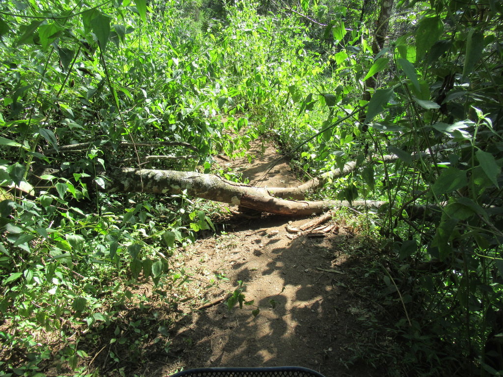 IMG_7451.JPG IMG_7451.JPG