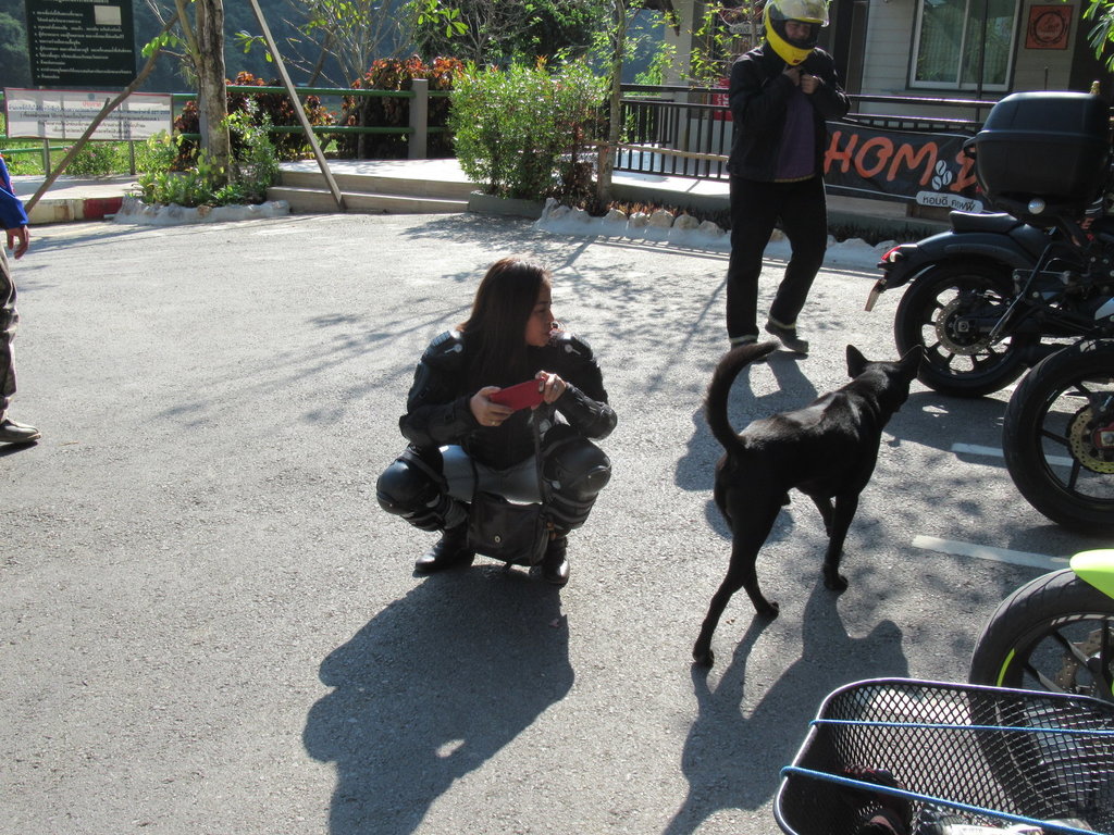 IMG_7532a.JPG IMG_7532a.JPG