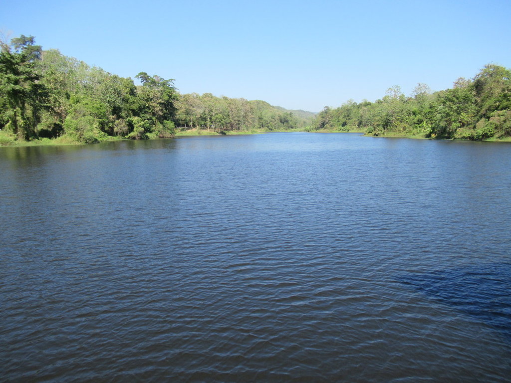 IMG_8373.JPG IMG_8373.JPG