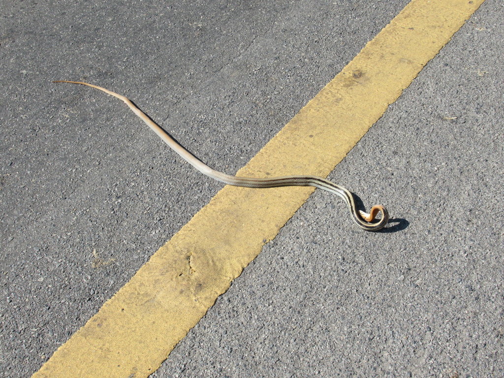 IMG_8643.JPG IMG_8643.JPG