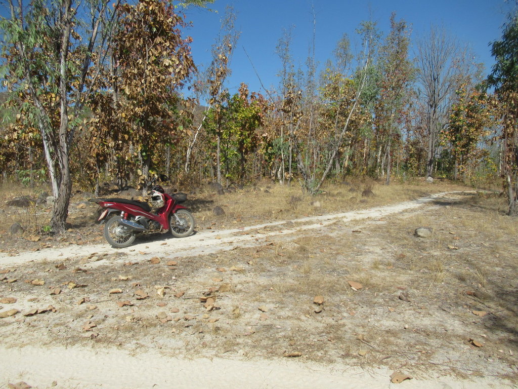 IMG_9074.JPG IMG_9074.JPG