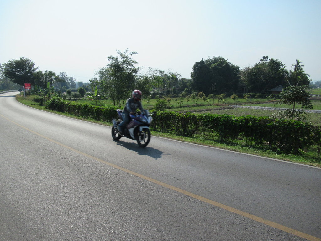 IMG_9793.JPG IMG_9793.JPG