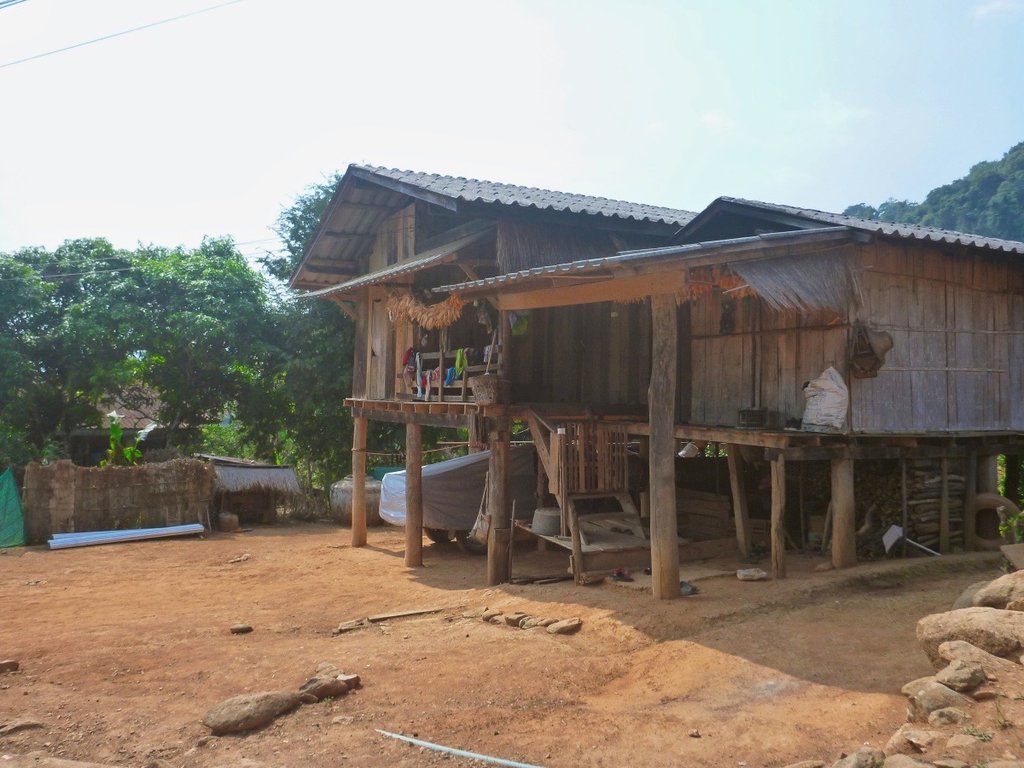 31.jpg 31.jpg