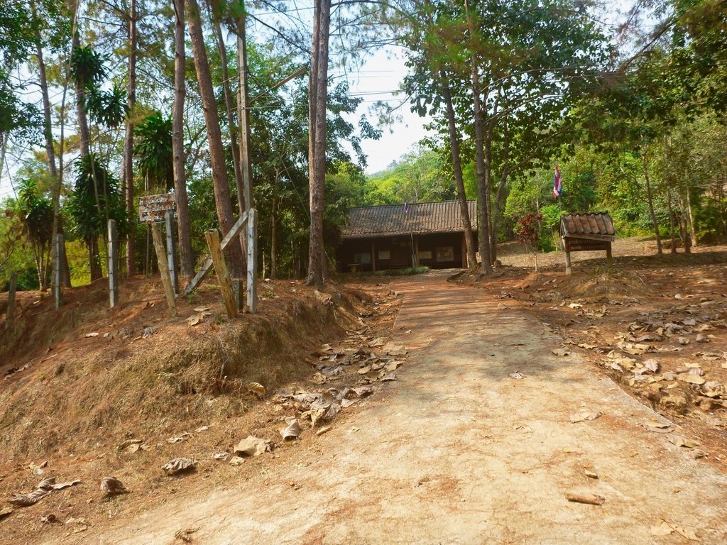 49.jpg 49.jpg