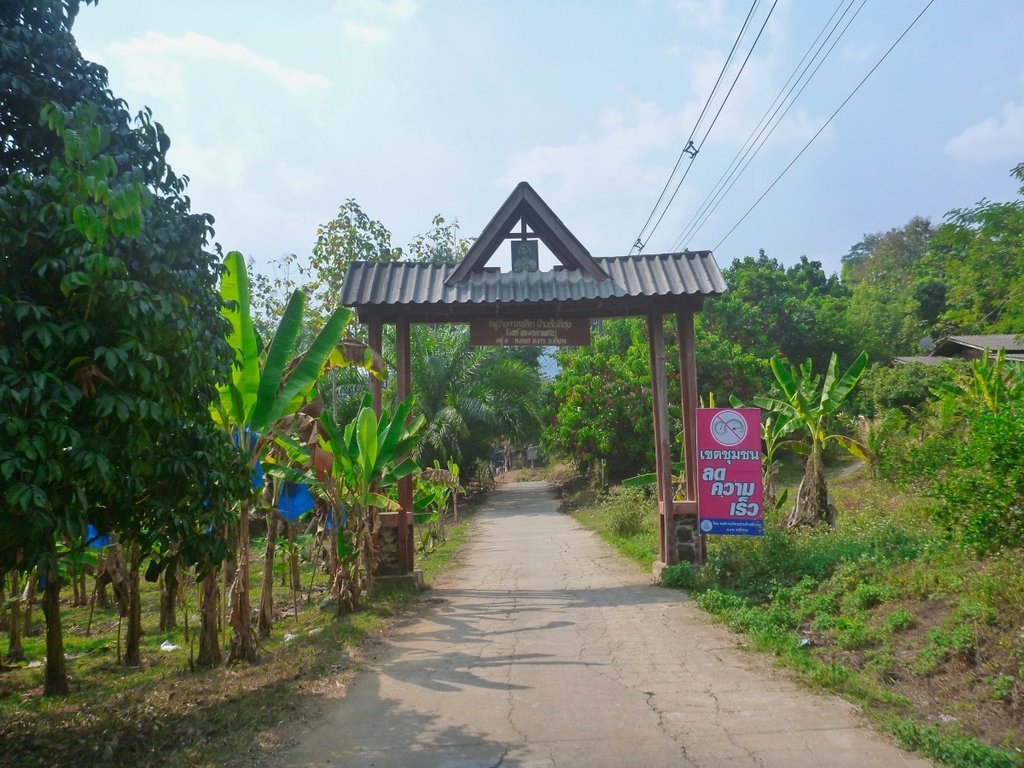 50.jpg 50.jpg