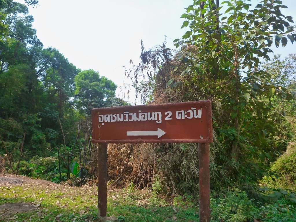 62.jpg 62.jpg