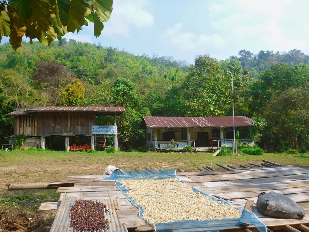 67.jpg 67.jpg
