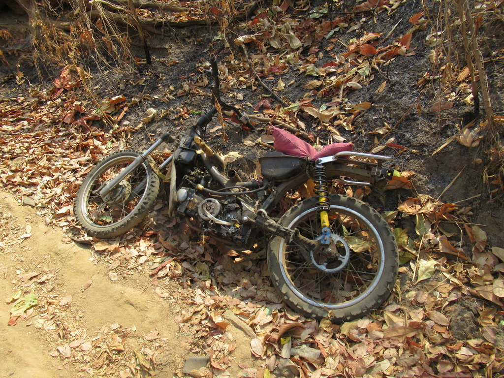 IMG_0851.JPG IMG_0851.JPG