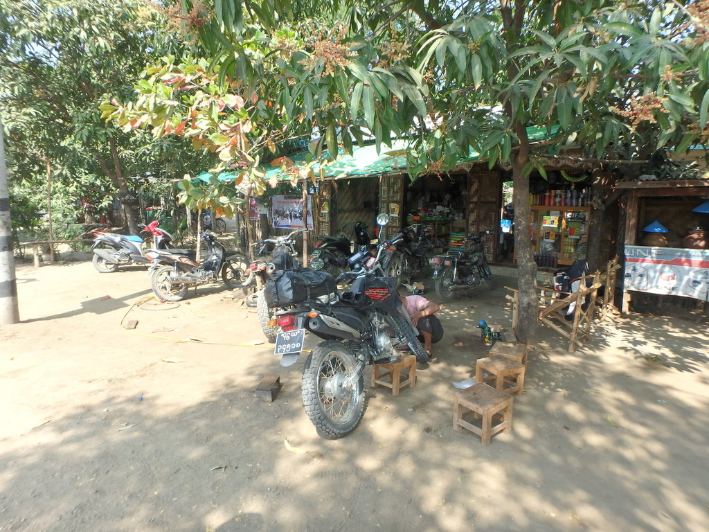 1 - 39.jpg 1 - 39.jpg