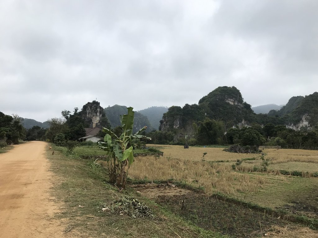 435B1310-FDAC-4F0D-9138-190B82386CB1.jpeg 435B1310-FDAC-4F0D-9138-190B82386CB1.jpeg