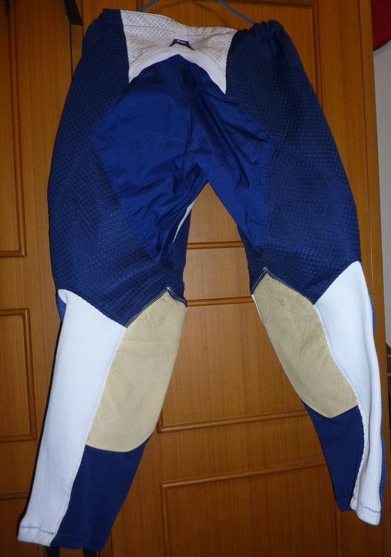 thor ac pants rear.jpg