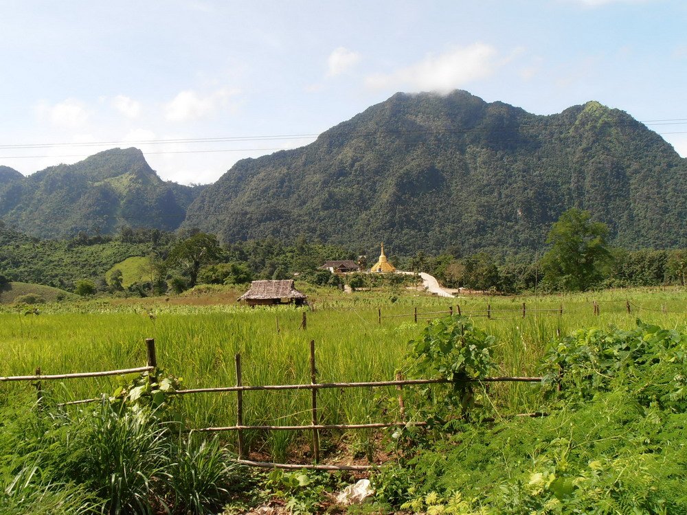 P9260644_resize.JPG