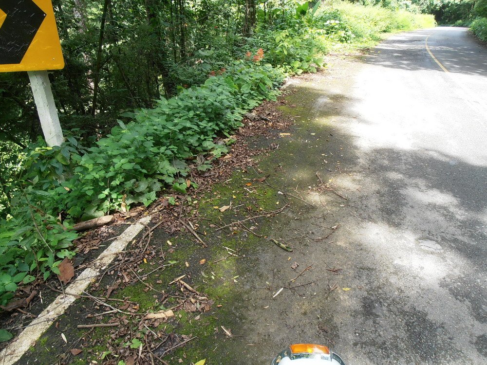 P9260679_resize.JPG