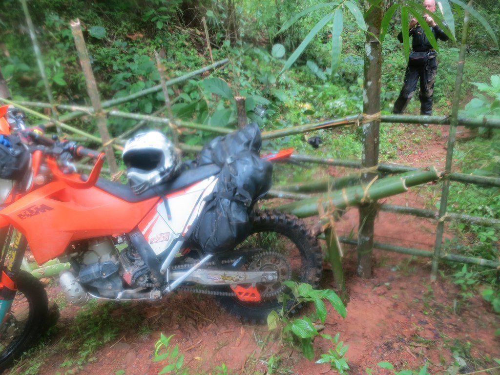 8073373448_713d4d60e2_b.jpg 8073373448_713d4d60e2_b.jpg