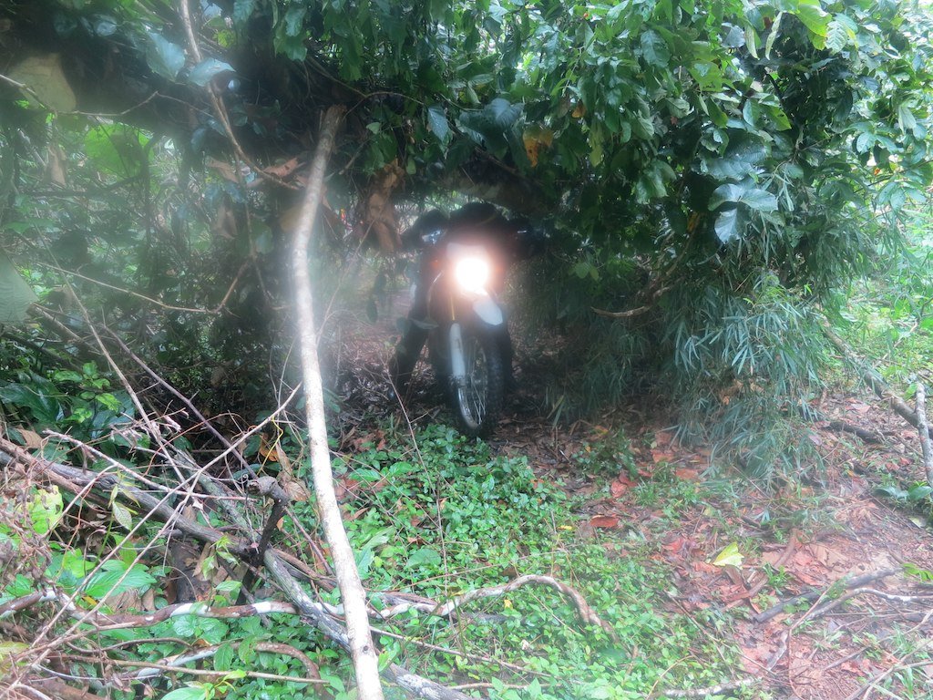 8073380031_ee007dd5bf_b.jpg 8073380031_ee007dd5bf_b.jpg