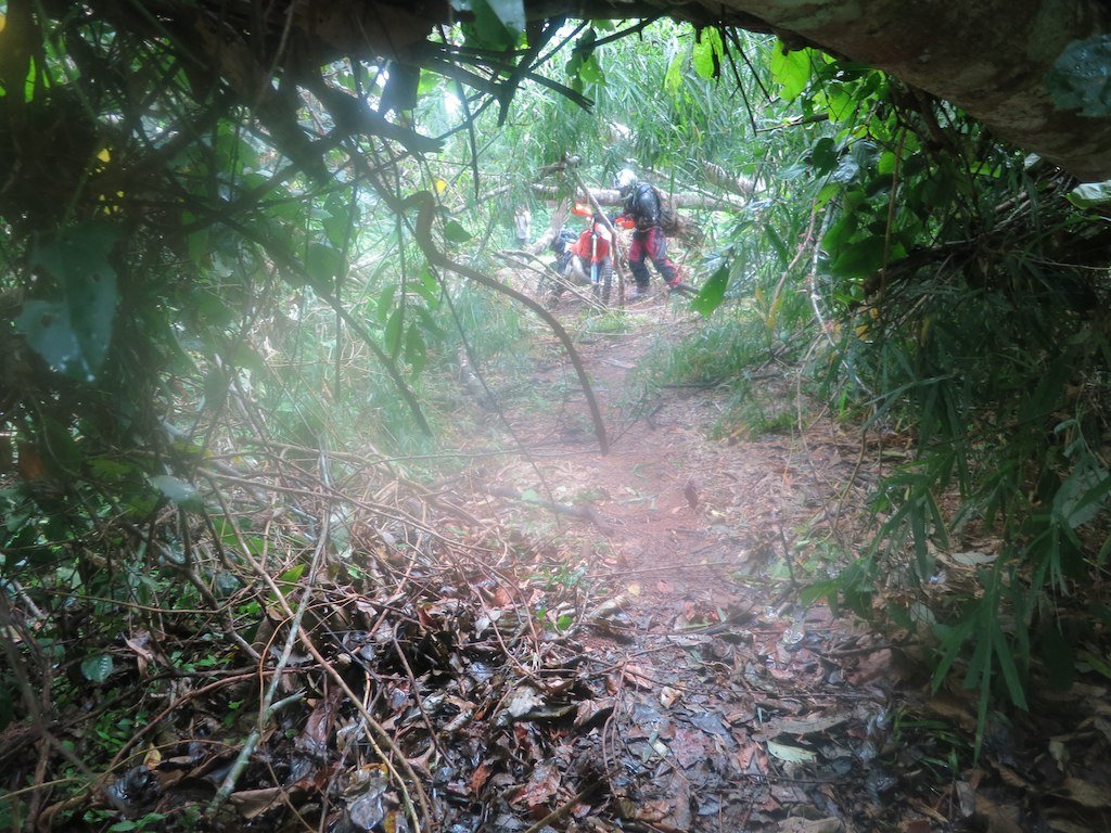 8073372674_c3dba0d0b7_b.jpg 8073372674_c3dba0d0b7_b.jpg